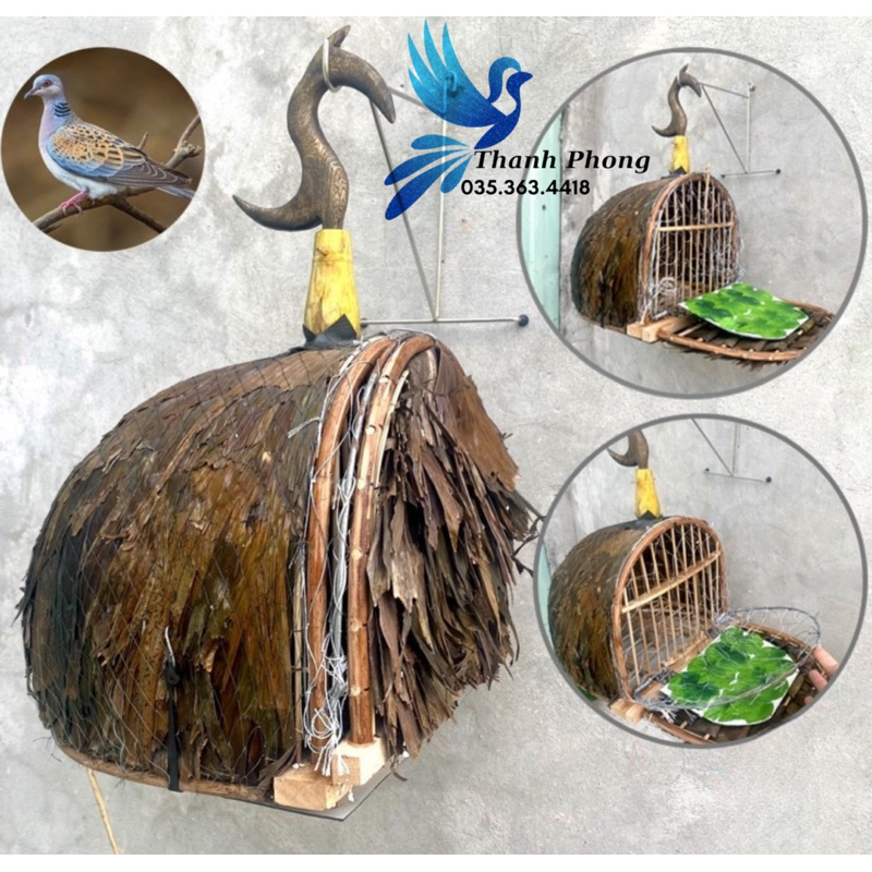 Lồng chim Cu Gáy, Lồng bẫy Cu Gáy lợp lá đẹp (Bird cage sangkar burung Terkukur ,Burung Tekukur bird cage)