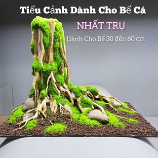 Tiểu Cảnh dành cho bể cá cảnh, bể cá thủy sinh, bể bán cạn, mẫu " Nhất Trụ"