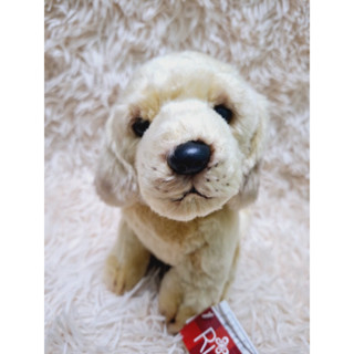 Gấu bông con chó golden giống như thật