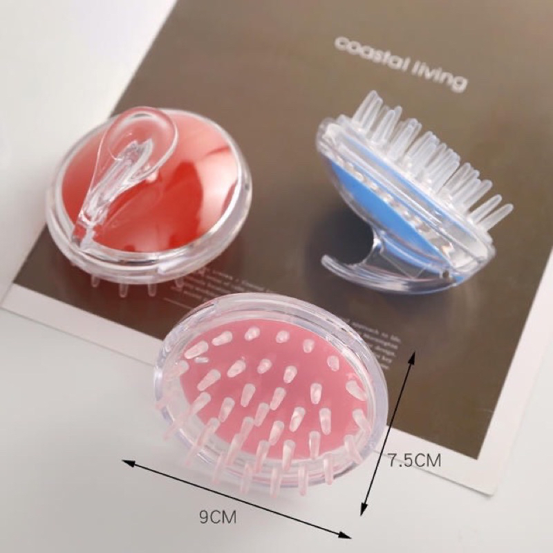 Lược gội đầu chải  tóc kèm hộp đựng xà bông, sữa tắm, dụng cạu matssa da đầu