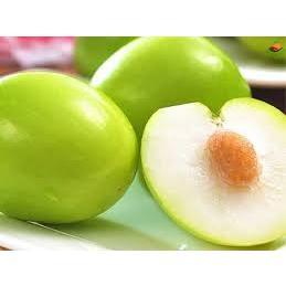 Cây táo xanh ninh thuận cây khoẻ mạnh ít sâu bệnh
