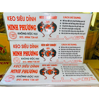 Keo Dính Chuột Minh Phương