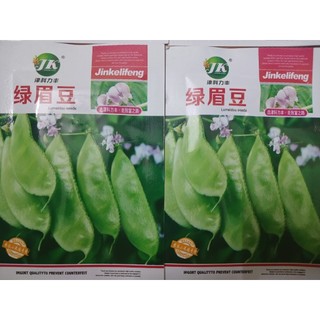 Hạt giống đậu ván xanh nhập khẩu đài loan nguyên bao bì