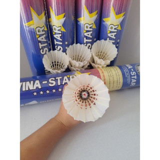 CẦU LÔNG VINA-STAR ( hộp 12 quả)