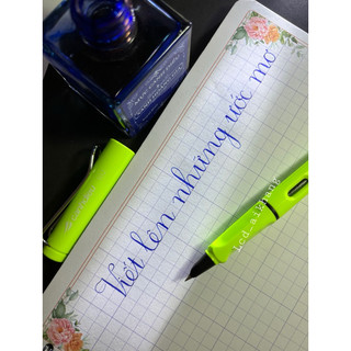Bút máy Cánh Diều 102 ngòi lá tre ⚡ Bút luyện chữ ⚡ Bút mực dùng cho học sinh, bút luyện calligraphy nét thanh nét đậm