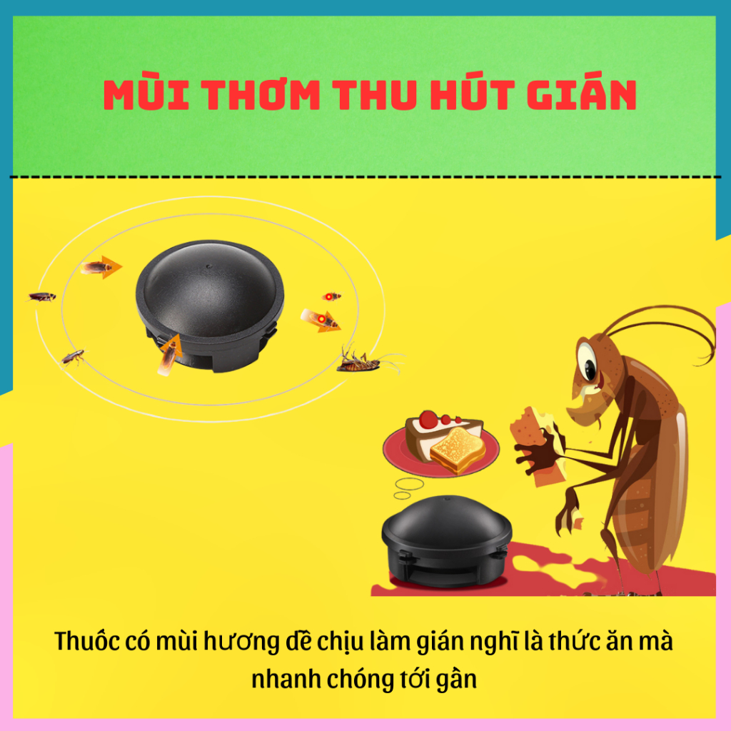 Thuốc Diệt Gián Nhật Bản 12 Viên- Viên Diệt Gián