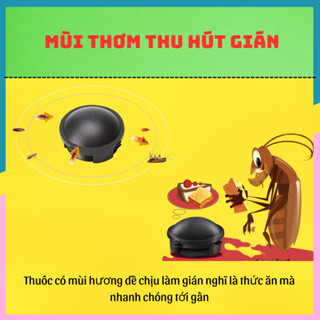 Thuốc Diệt Gián Nhật Bản 12 Viên- Viên Diệt Gián