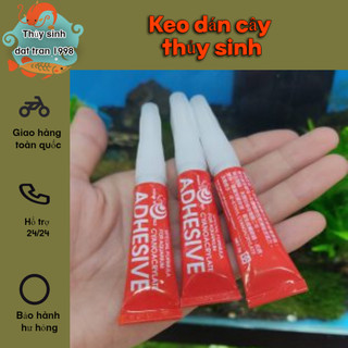 Keo dán cây thủy sinh và dán rêu