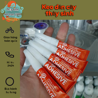 Keo dán cây thủy sinh và dán rêu
