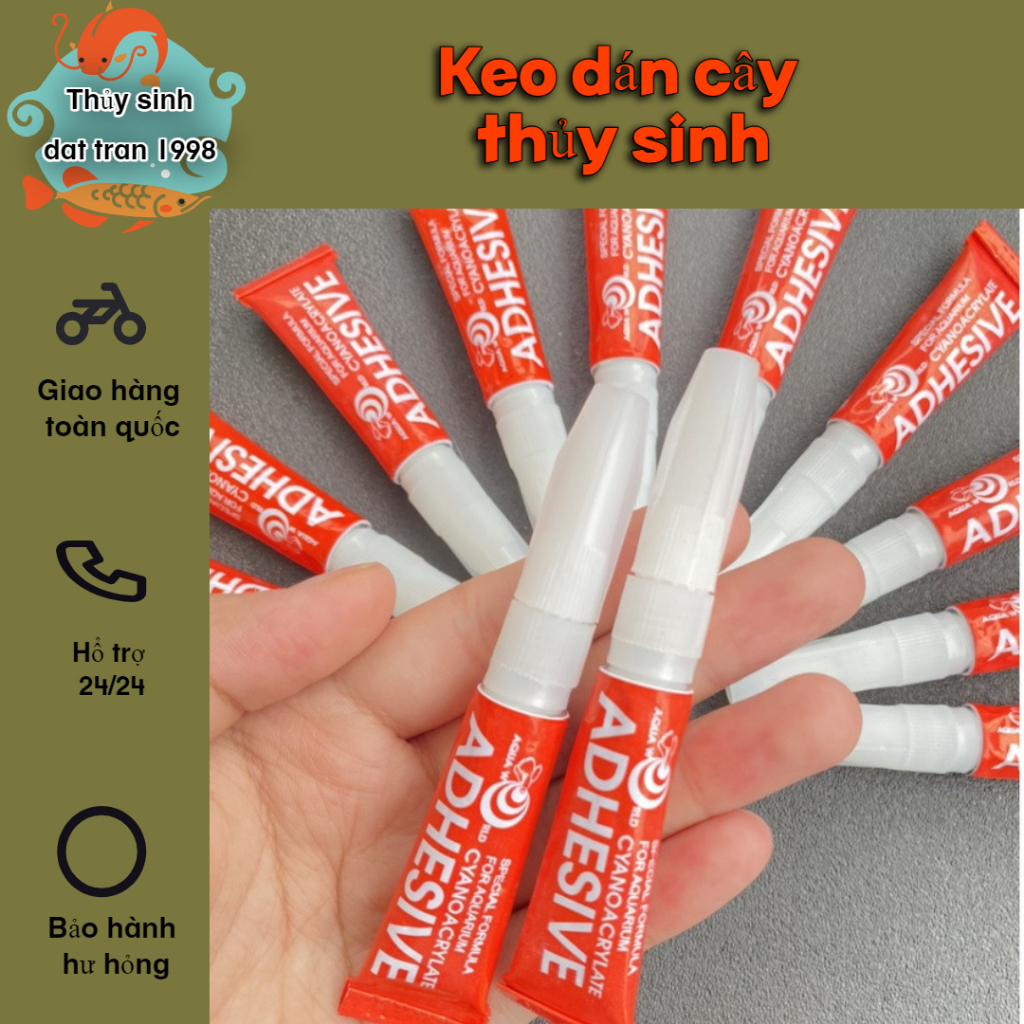 Keo dán cây thủy sinh và dán rêu