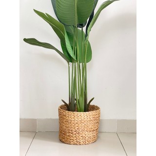 Giỏ lục bình tròn,sọt cói trồng cây ,giỏ đựng đồ đa năng hàng thủ công mỹ nghệ, cắm hoa, đựng quần áo