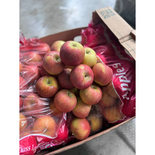 Táo fuji nam phi túi 3kg