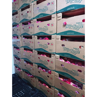 TÁO FUJI NAM PHI TÚI 3KG