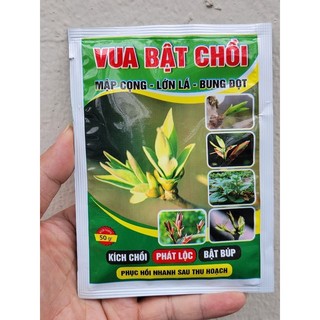 Siêu phân bón vua bật chồi 50g. kích chồi, bật lộc, mập cọng, lớn trái, bung đọt.
