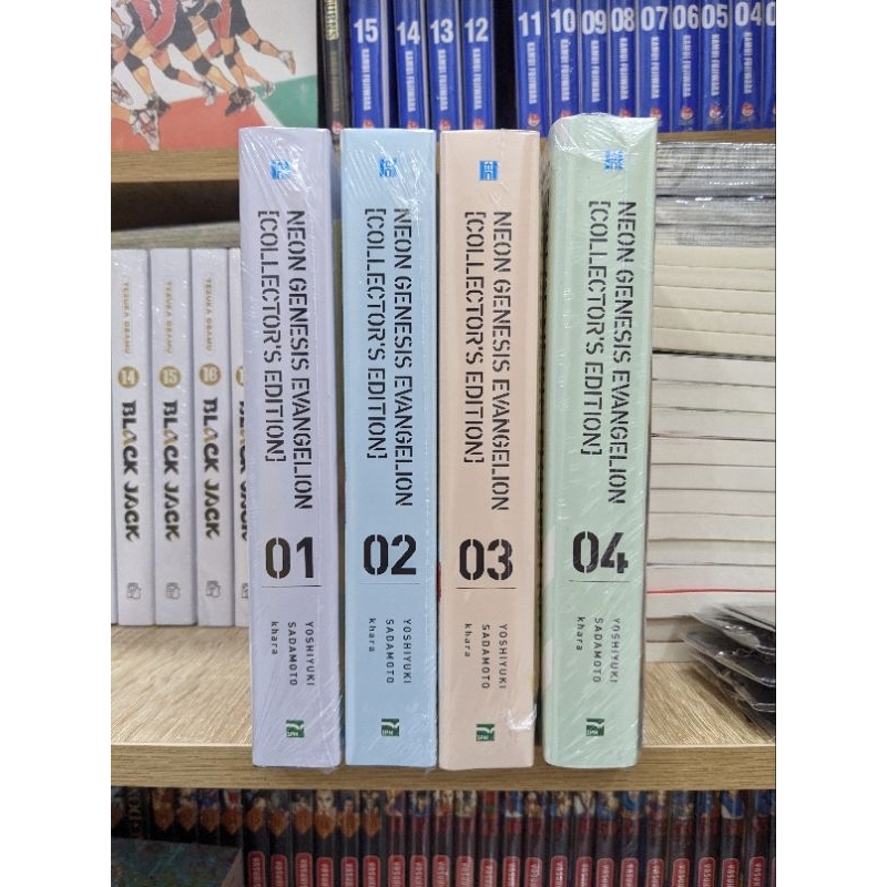Neon Genesis Evangelion 1-10