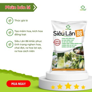 Siêu lân 86 - Phân hóa mầm hoa cực mạnh