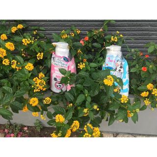 Combo Sữa tắm con Bò Thái Lan Gulta Milkly 800 ml tặng tuýp sữa rửa mặt 190 g