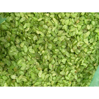 cốm nấu  chè làm chả cốm rất thơm