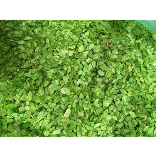 cốm nấu  chè làm chả cốm rất thơm