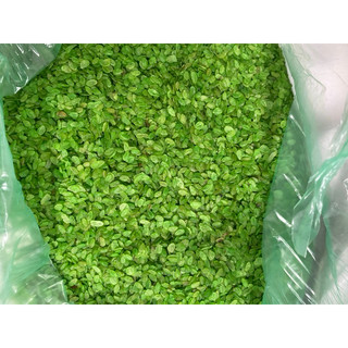 cốm nấu  chè làm chả cốm rất thơm
