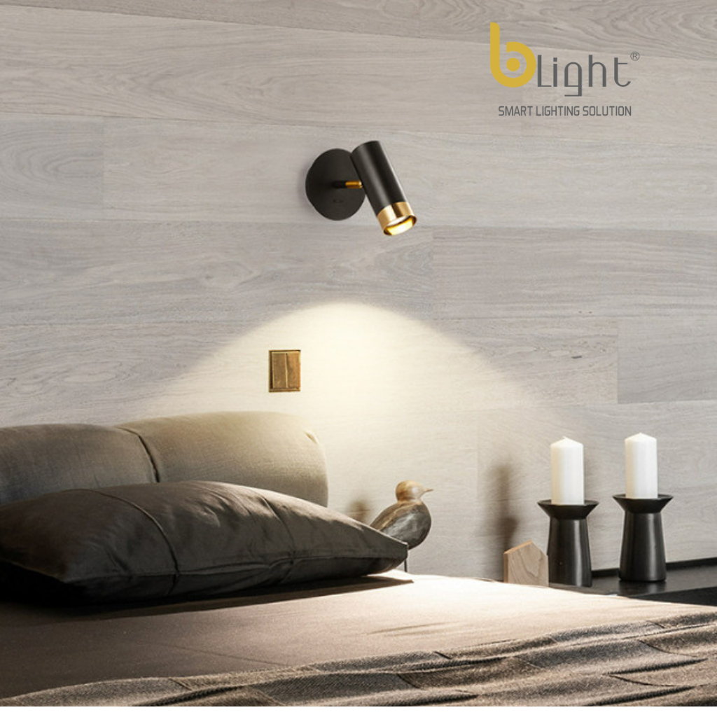 Đèn soi tranh 1 bóng công suất 3W   AP8110-1 BK