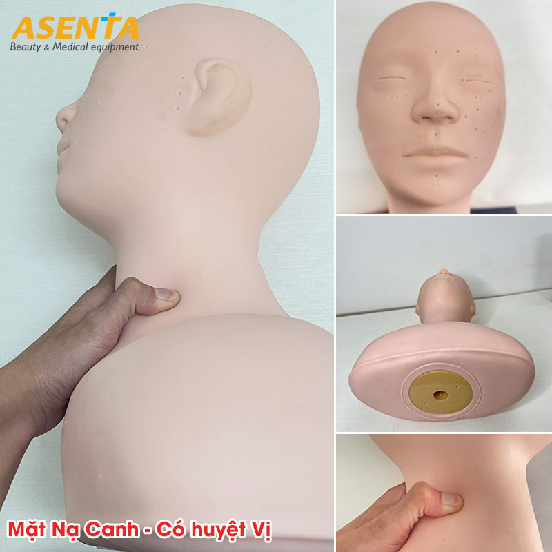 Đầu Canh Nửa Người | Canh Vai Gáy Học massage | Môi 100% Silicon