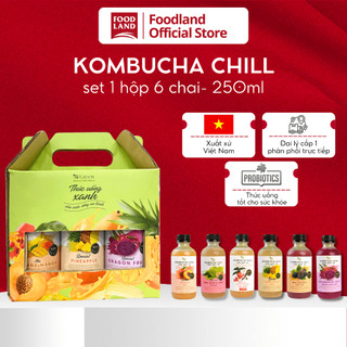 Chill Kombucha 250ml Vgreen - Trà hoa quả lên men tươi mới, bảo quản mát - Foodland