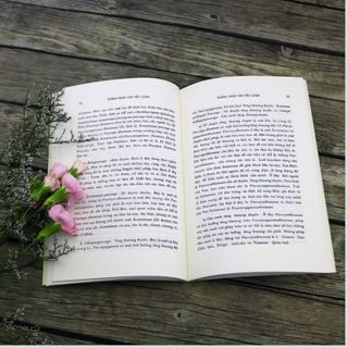 Sách - Thắng pháp tập yếu luận (Bộ 2 quyển, HQ)