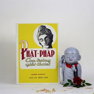 Sách - Phật Pháp Con Đường Giải Thoát (HQ)