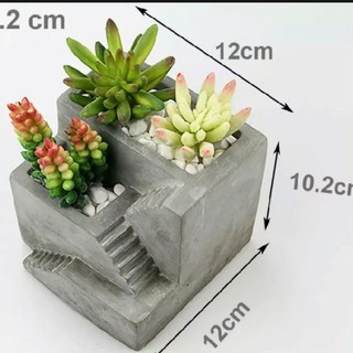Chậu xi măng sáng tạo trồng xương rồng,sen đá