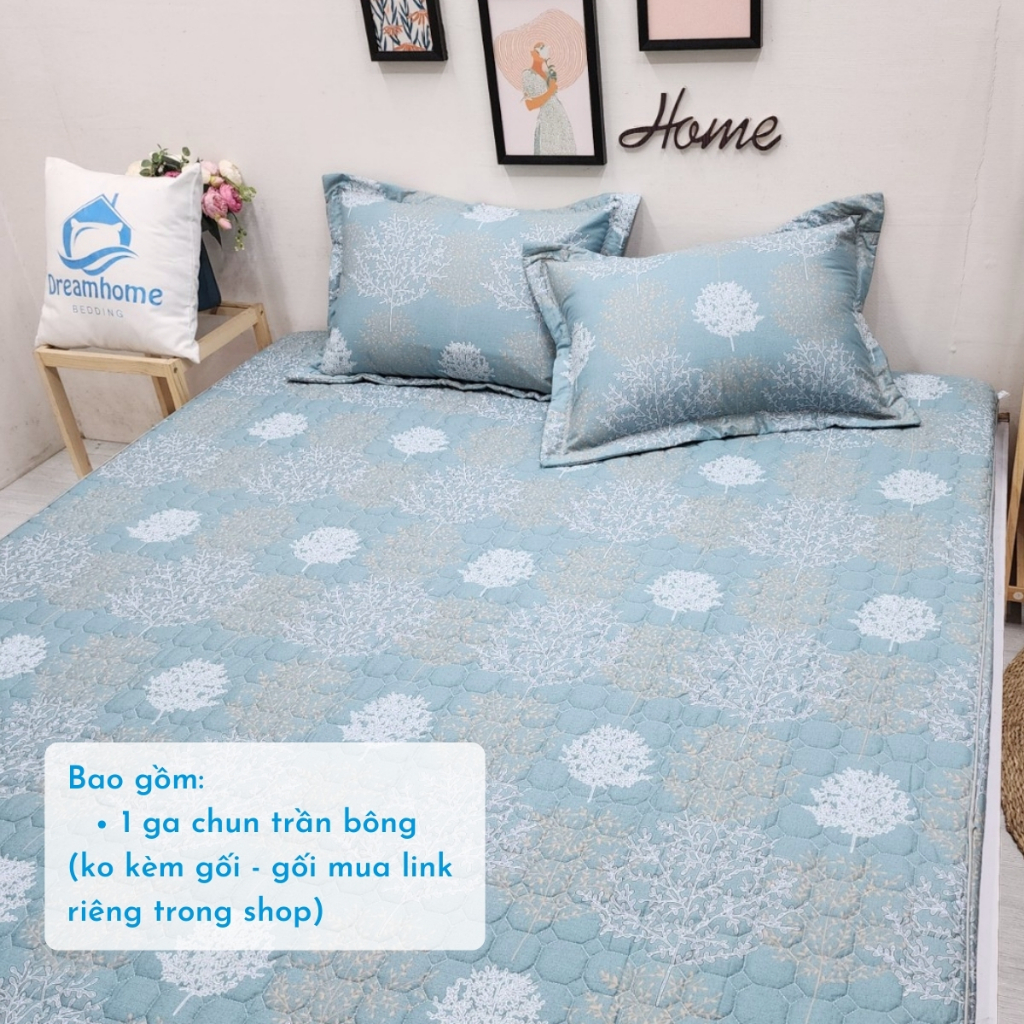 Ga giường trần bông bo chun cao cấp cotton 100%, Drap giường cotton bọc nệm 20cm đủ size đệm 1m6, 1m8, 2mx2m2 DREAMHOME