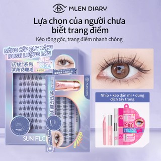 Mi cụm hoa hướng dương bản Trung Mlen  Diary