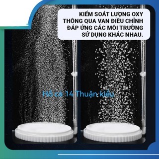 Dĩa sủi oxi nano siêu mịn cho hồ cá