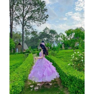 Đầm maxi 2 dây nhiều nơ(có mút ngực)