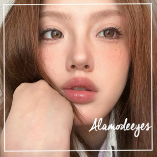 Lens nâu tây viền