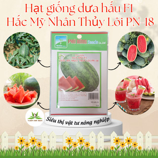 Hạt giống dưa hấu F1 Phú Nông -  hạt giống chắc khỏe, tỉ lệ nẩy mầm cao (Vườn Sài Gòn)