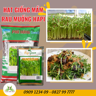 Hạt giống mầm rau muống Phú Nông, gói 100g, hạt giống chắc khỏe, tỉ lệ nẩy mầm 98% (Vườn Sài Gòn)