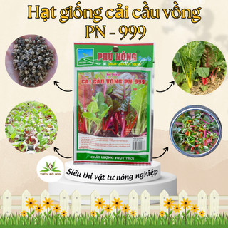 Hạt giống cải cầu vồng Phú Nông PN 999 hạt giống chắc khỏe, tỉ lệ nẩy mầm cao (Vườn Sài Gòn)