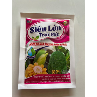 Siêu lớn trái mít - 50gr