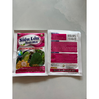 SIÊU LỚN TRÁI MÍT - 50gr