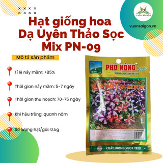 Hạt giống hoa Dạ Yên Thảo Sọc Phú Nông, hạt giống chắc khỏe, tỉ lệ nẩy mầm cao (Green City)