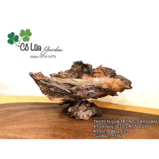 Chậu gỗ lũa dáng thuyền
