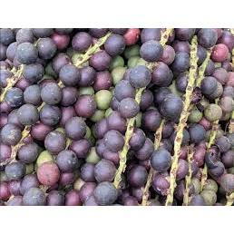 trái đủng đỉnh- quả móc Tươi 1kg
