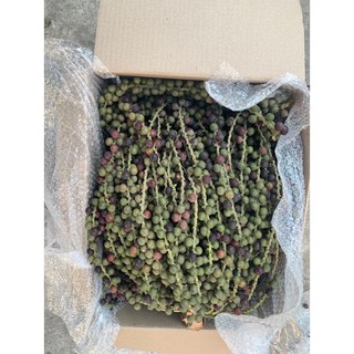 trái đủng đỉnh- quả móc Tươi 1kg