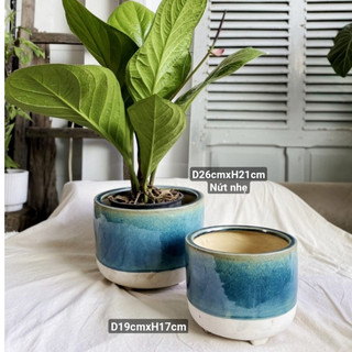 Chậu gốm sứ nhiều màu sắc - chậu xuất khẩu trồng cây, trang trí nhà, sân vườn