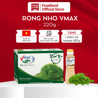 Rong Nho Tách Nước Vmax 220G, rong nho xuất khẩu Nhật Bản, salad rong dinh dưỡng - Foodland