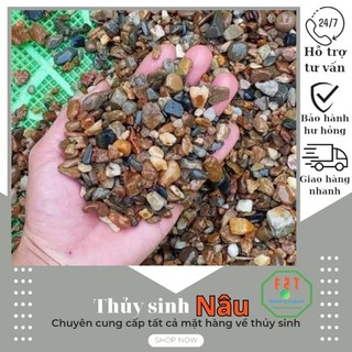 Sạn suối trải nền trang trí hồ thủy sinh 500g