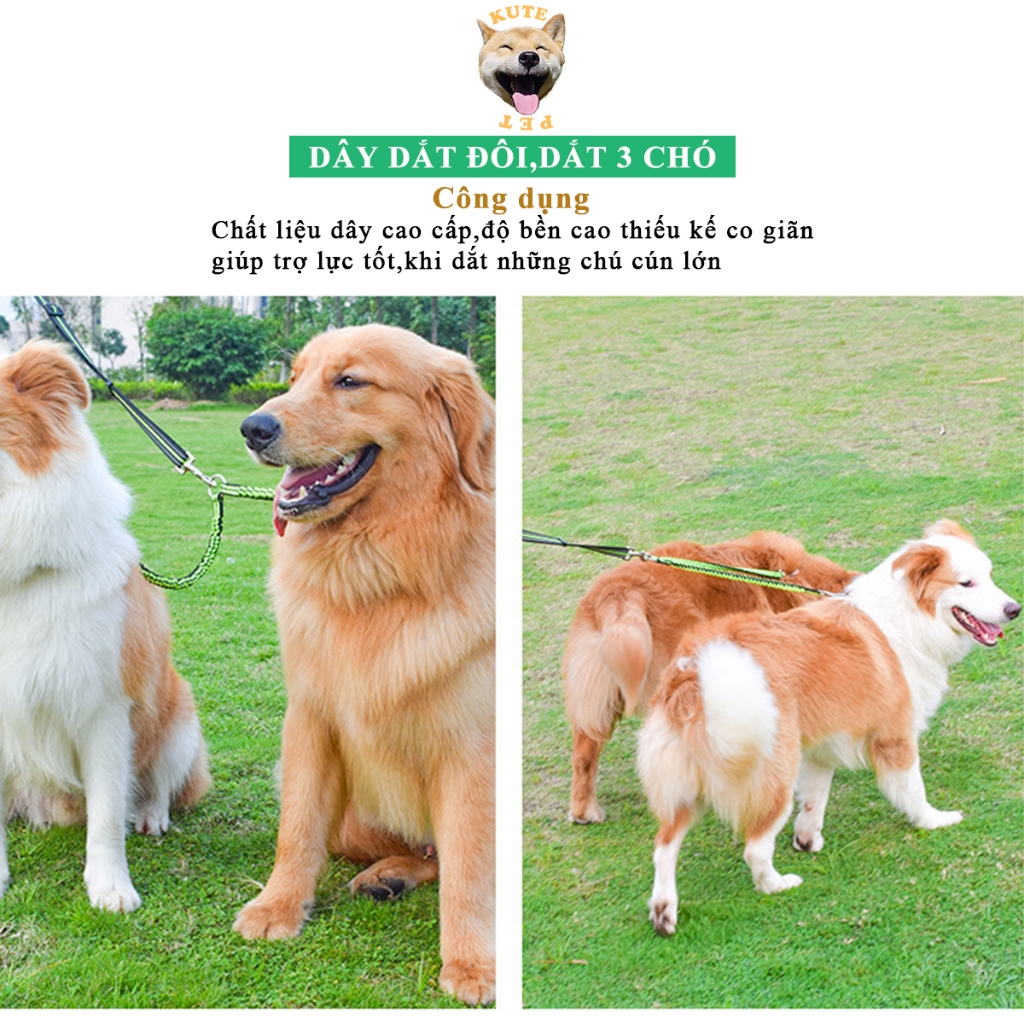 Dây dắt đôi,dắt 3 chó - Dây dắt chó co giãn trợ lực