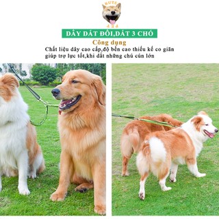 Dây dắt đôi,dắt 3 chó - Dây dắt chó co giãn trợ lực
