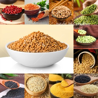 100g Hạt mù tạt vàng Ấn Độ nguyên hạt